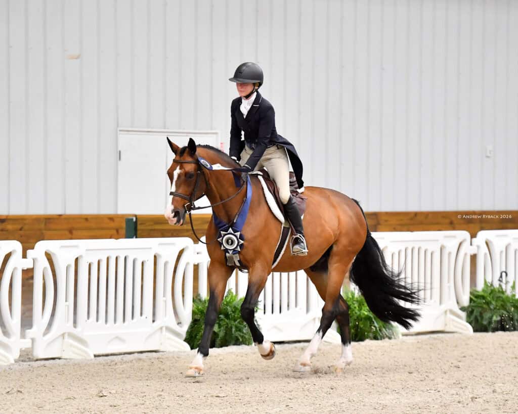 A rider in formal equestrian attire sits on a brown horse wearing a blue ribbon, moving on a sandy arena next to a white fence.