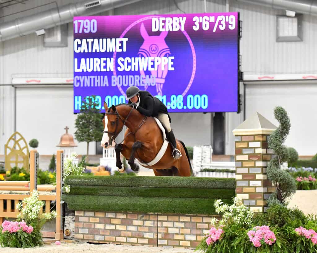 A rider on a brown horse jumps over an obstacle in an indoor arena with a large digital scoreboard displaying event and participant details in the background.