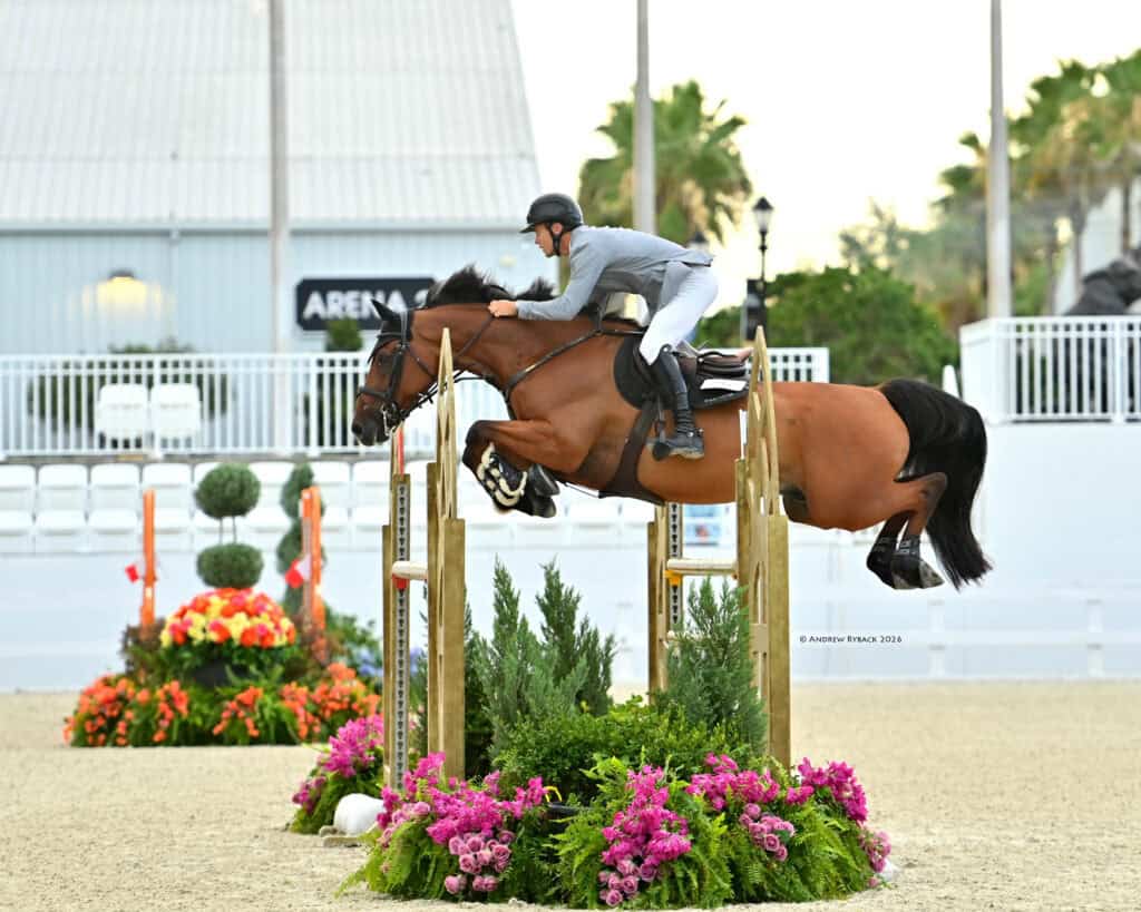 A horseback rider in a helmet and riding gear jumps a brown horse over a wooden obstacle decorated with flowers in an outdoor arena.