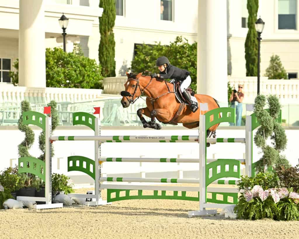 A rider in black attire and helmet guides a brown horse over a green and white show jumping obstacle in an outdoor equestrian arena.
