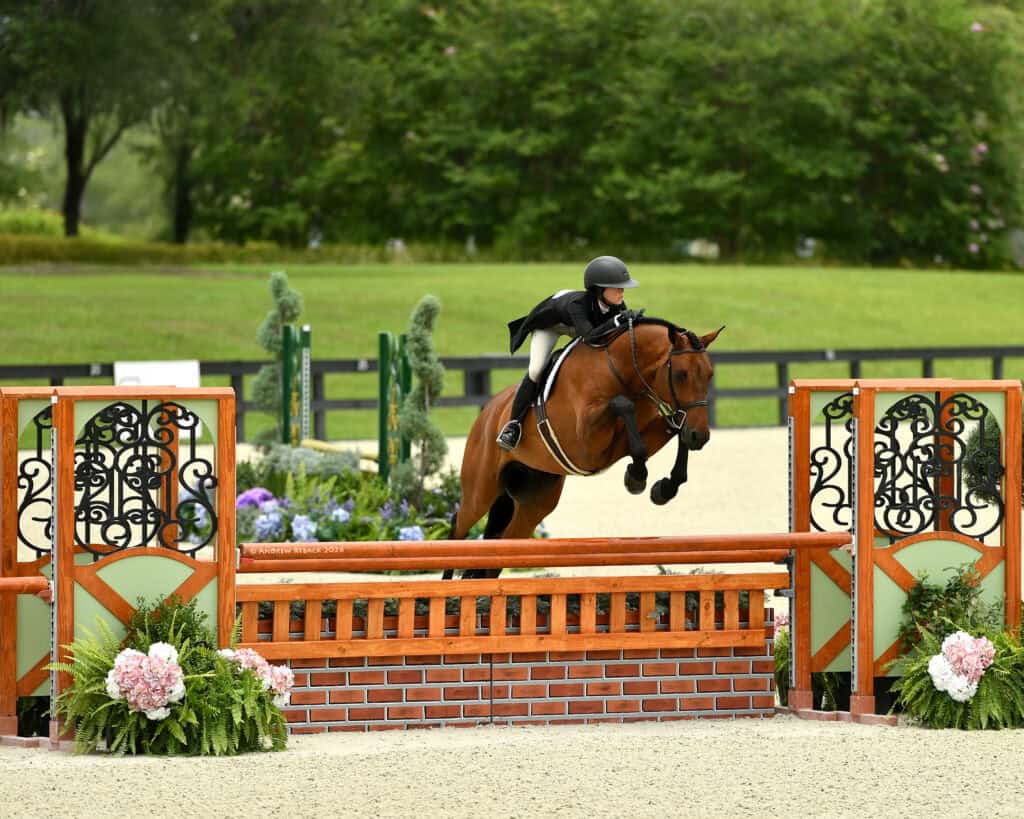 A rider in formal equestrian attire guides a brown horse over a jump in an outdoor arena with greenery in the background.