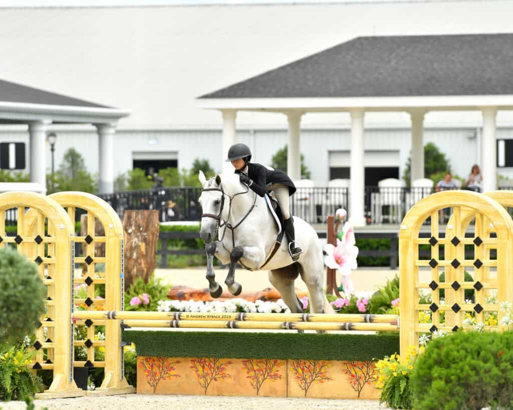 A rider wearing a helmet and jacket guides a gray horse over a yellow show jumping obstacle in an outdoor equestrian arena.