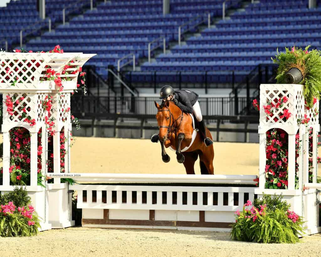 A rider in equestrian gear jumps a brown horse over a white and red flower-decorated fence in an empty arena.