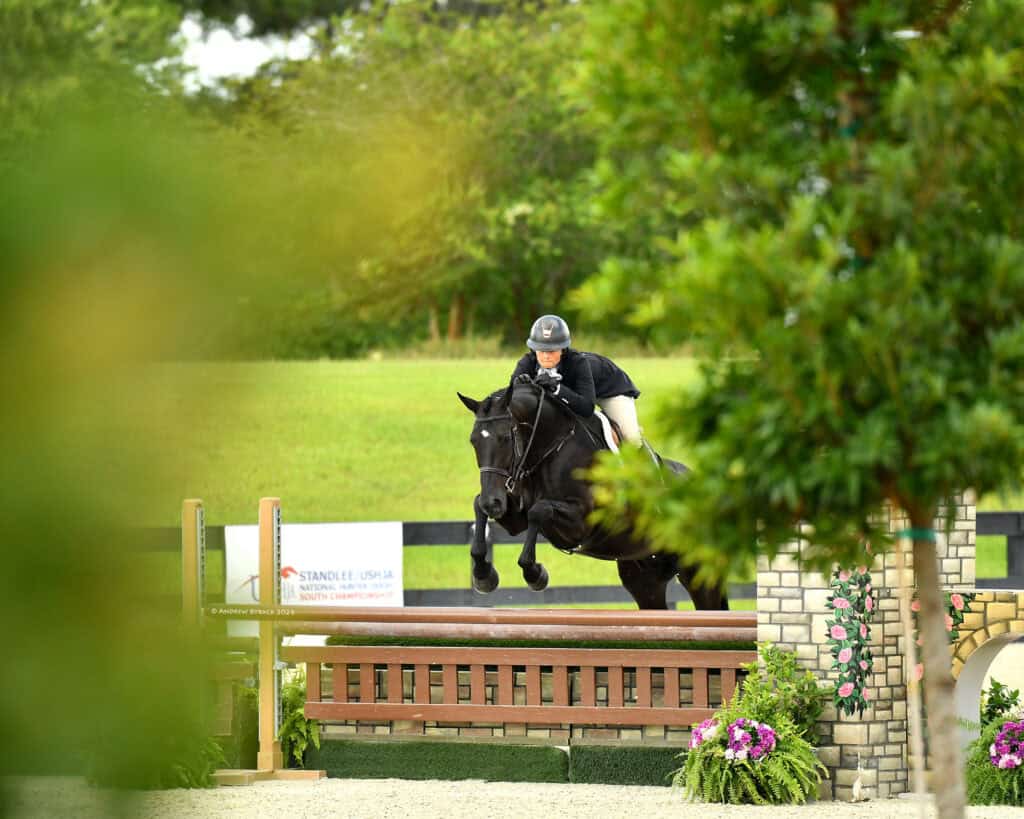 A rider on a black horse jumps over an obstacle during an equestrian event, with greenery and a brick structure in the background.