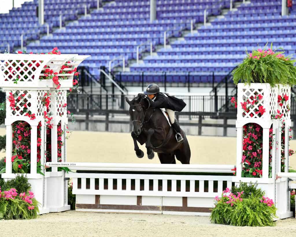 A rider on a dark horse jumps over an obstacle decorated with flowers in an empty equestrian arena with rows of blue seats in the background.