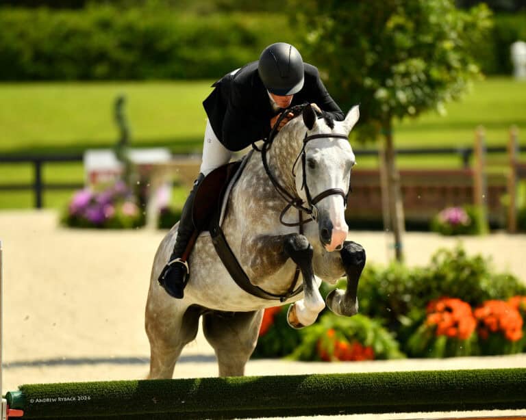 A rider in equestrian attire guides a gray horse over a jump during a show jumping competition outdoors.