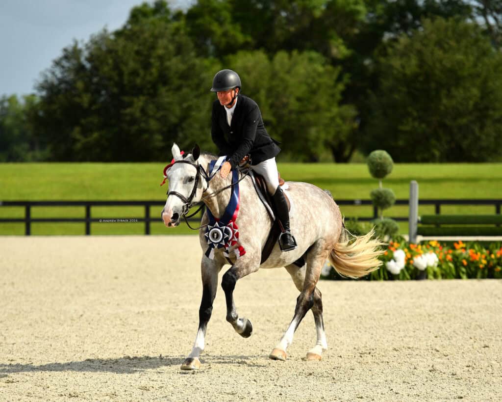 A person in riding gear sits on a gray horse with a winner’s ribbon, riding in an outdoor equestrian arena with a fence and greenery in the background.
