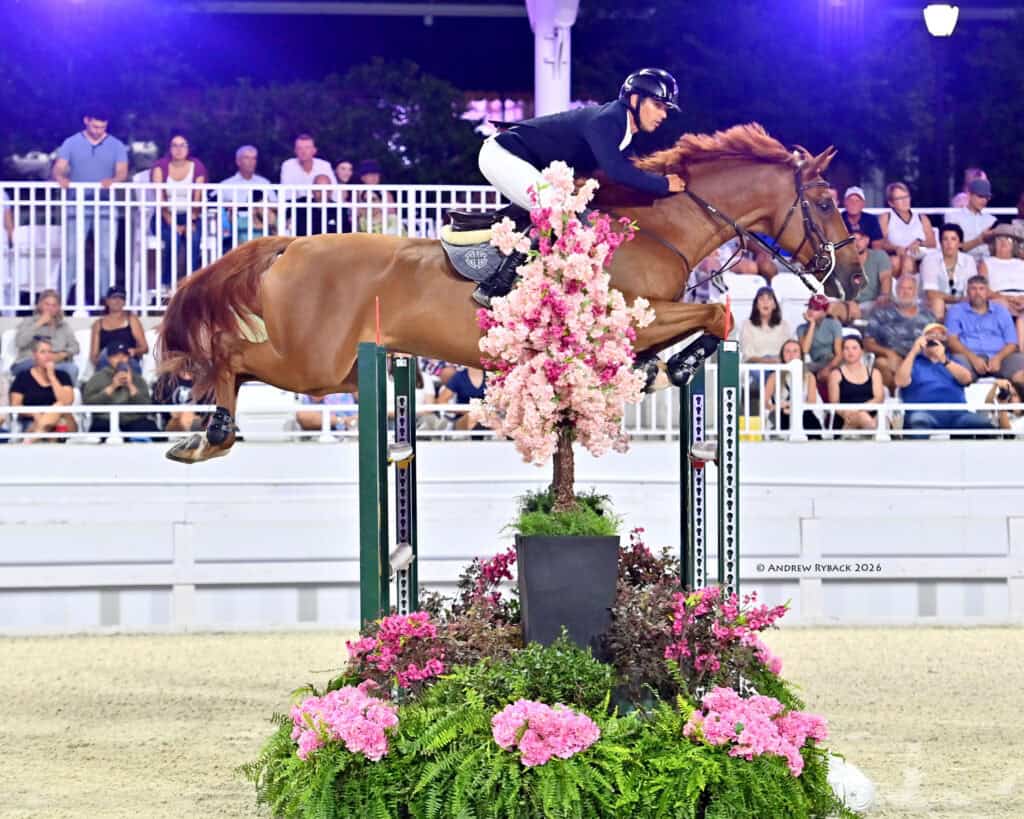 A rider in equestrian gear jumps a brown horse over a decorated obstacle with pink flowers during a show jumping event, watched by spectators in the stands.