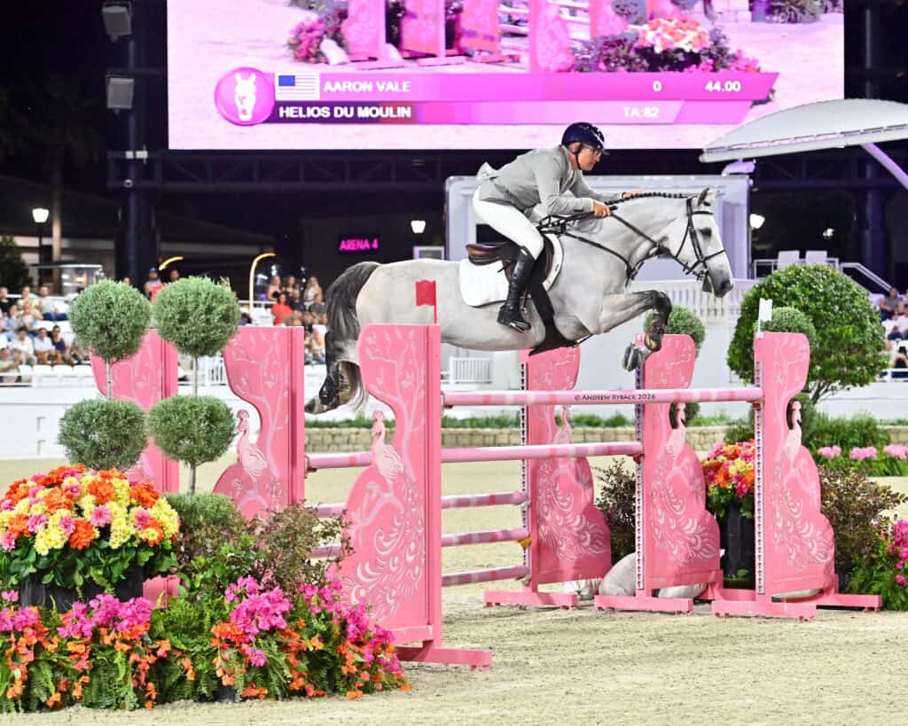 A rider on a gray horse clears a pink jump decorated with flowers and peacock designs during an equestrian competition in a well-lit arena.