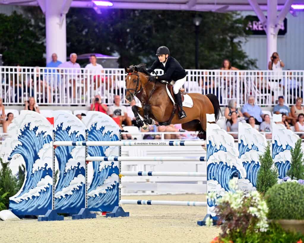 A rider in equestrian gear guides a brown horse over a jump with blue wave designs during a show jumping competition, as spectators watch from the stands.