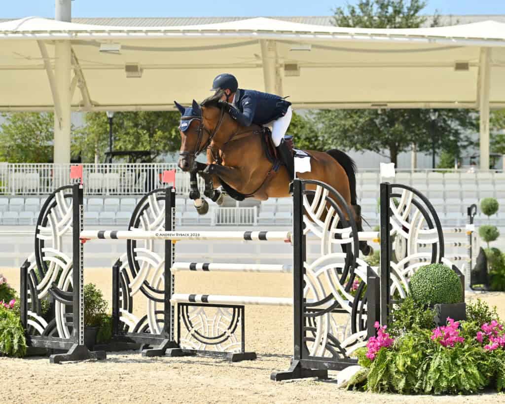 Equestrian rider in navy attire jumps a brown horse over a black and white obstacle during a show jumping competition in an outdoor arena.