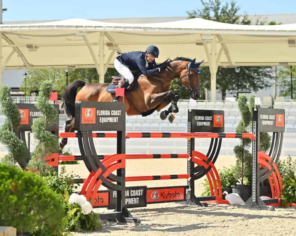 A rider in equestrian gear jumps a brown horse over a black and red obstacle in an outdoor arena.