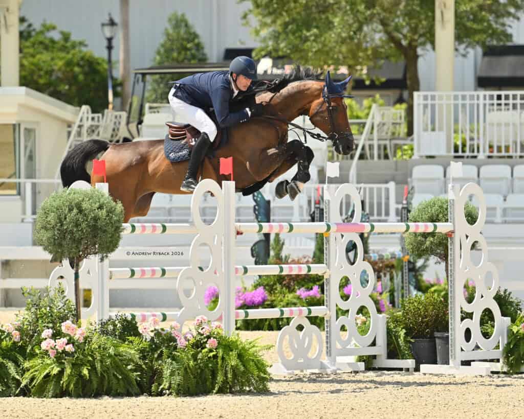 A rider in equestrian gear jumps a brown horse over a colorful hurdle during a show jumping competition, with plants and empty seating in the background.