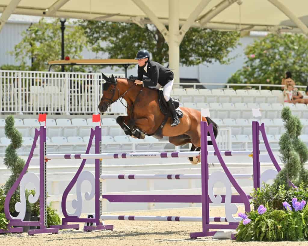 A person in equestrian attire rides a brown horse as it jumps over a purple and white obstacle during a show jumping competition.