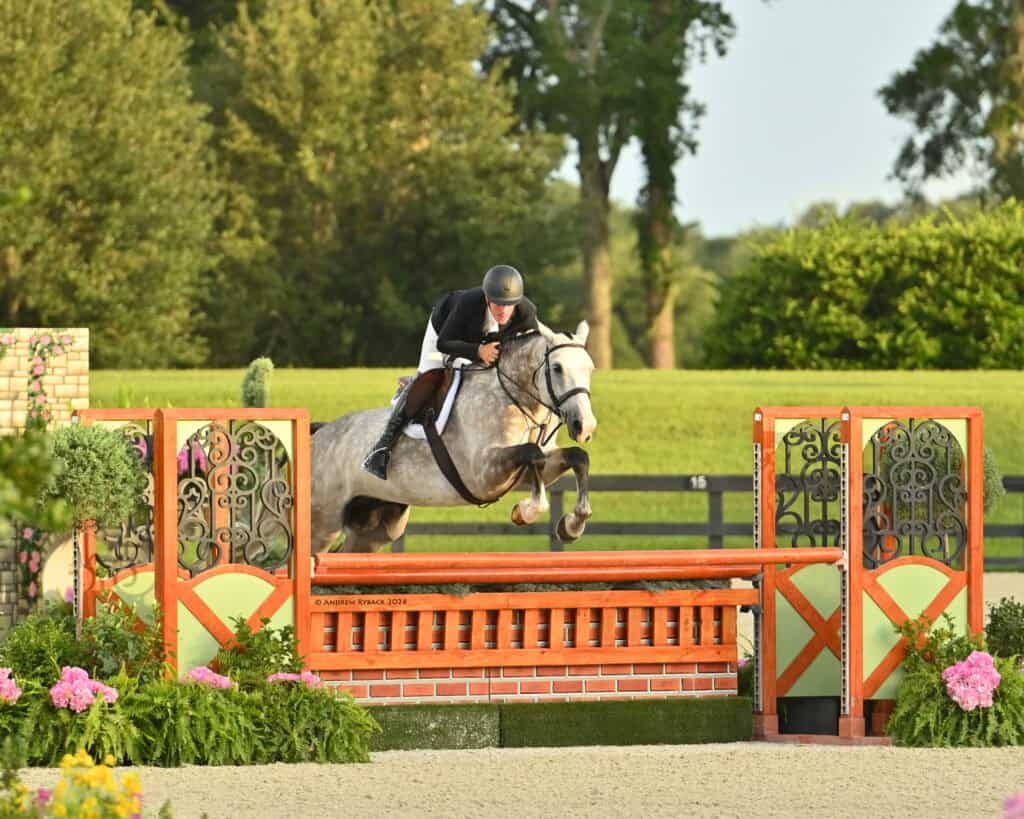 A rider in equestrian gear guides a gray horse over a decorative jump during a show jumping event outdoors.