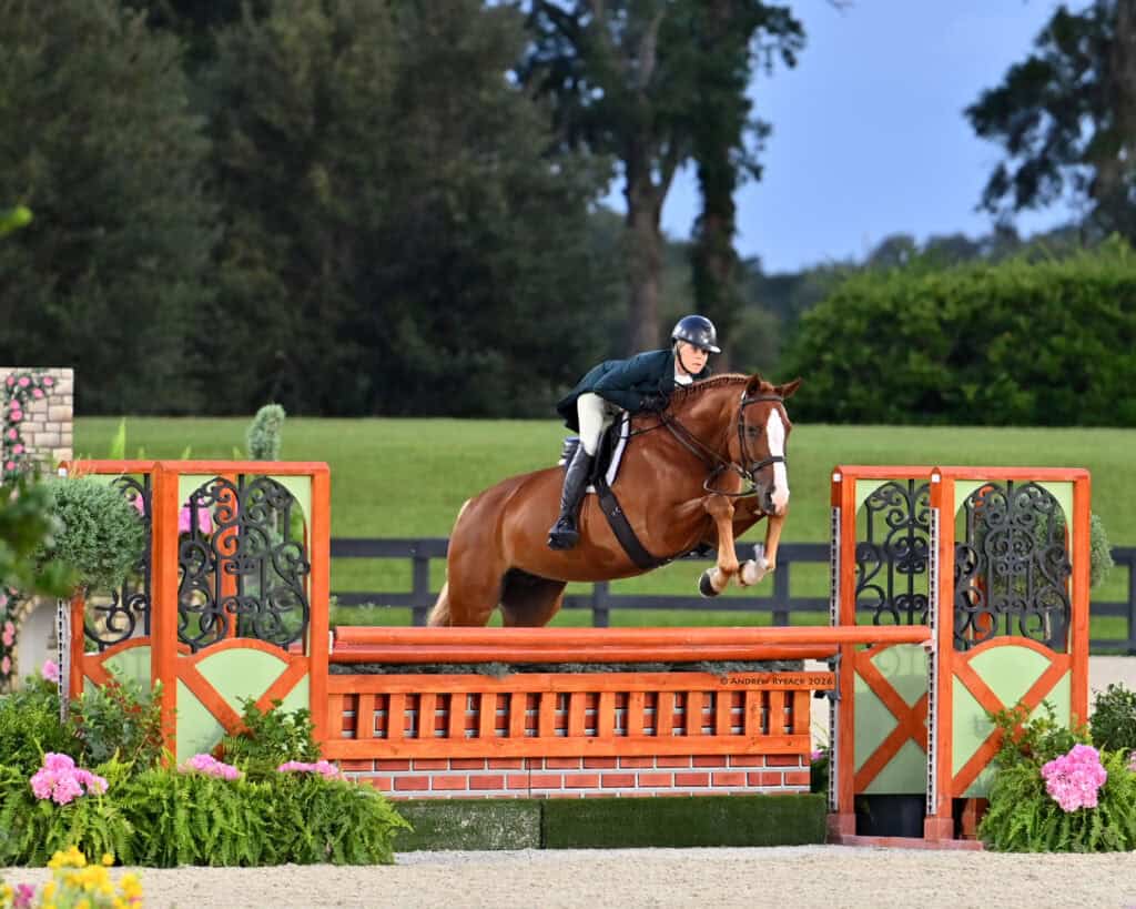 A rider on a chestnut horse jumps over an orange and green fence in an outdoor equestrian arena with grass and trees in the background.