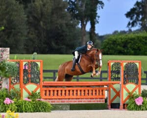 A rider on a chestnut horse jumps over an orange and green fence in an outdoor equestrian arena with grass and trees in the background.