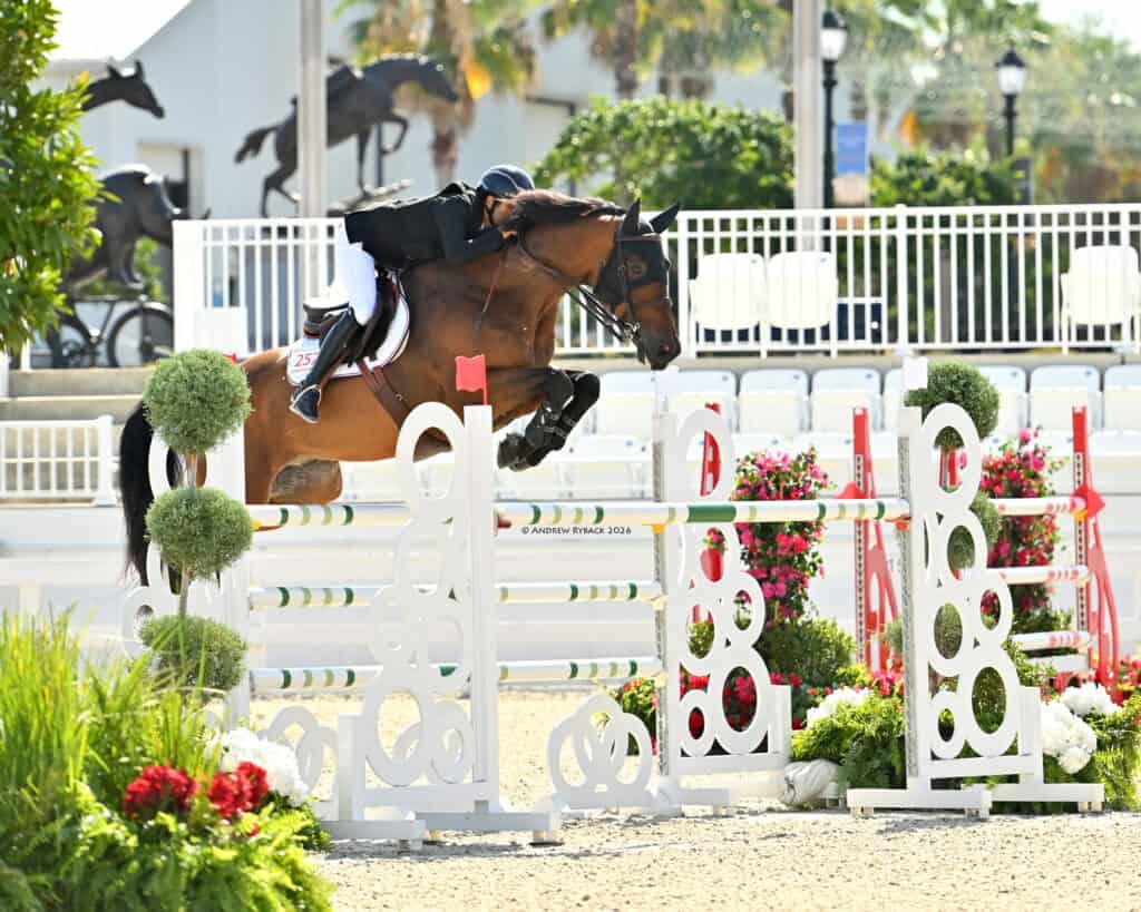 A horse and rider in mid-jump over an obstacle during an equestrian event, with decorative plants and empty seats in the background.