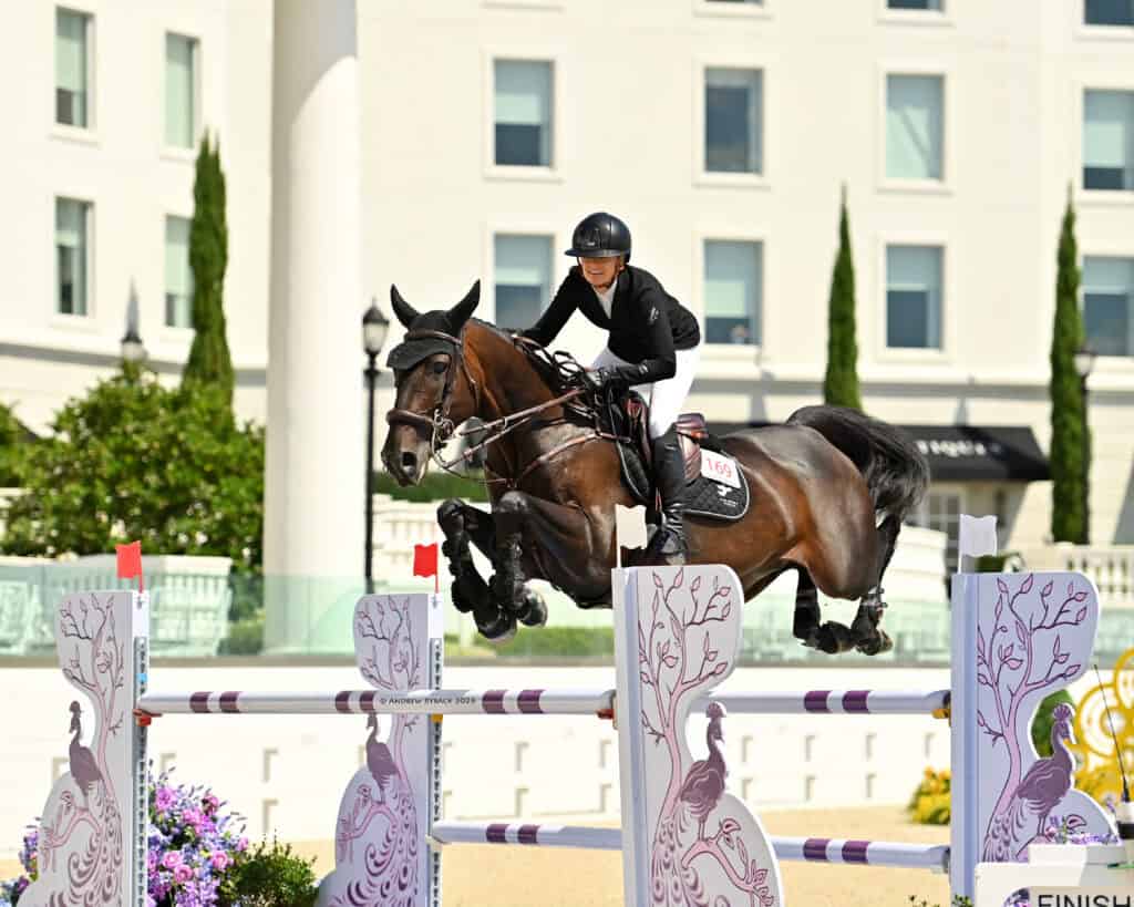 A rider wearing a helmet and jacket guides a dark horse over a decorated jump during an equestrian event, with a white building and greenery in the background.