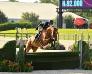 Equestrian rider jumps a brown horse over a green hedge obstacle during an outdoor competition. A digital scoreboard and landscaping are visible in the background.