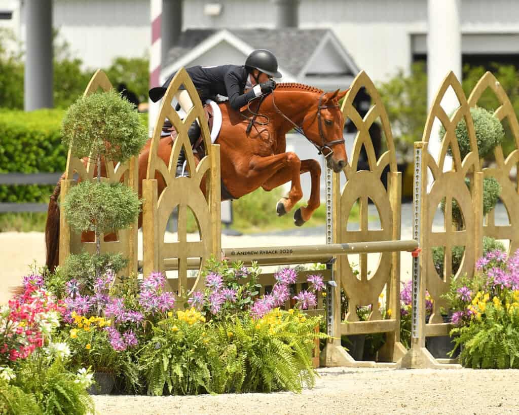 A rider in equestrian gear jumps a brown horse over a decorative fence surrounded by flowers during a show jumping event.