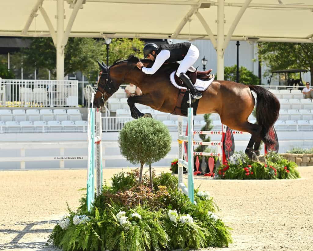 Equestrian rider and horse in mid-air while jumping over an obstacle during a show jumping competition in an outdoor arena.