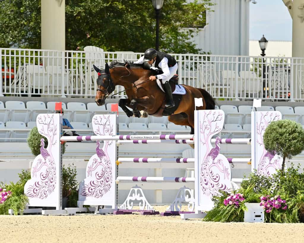 A rider in equestrian gear jumps a brown horse over a decorated obstacle during a show jumping competition in an outdoor arena.