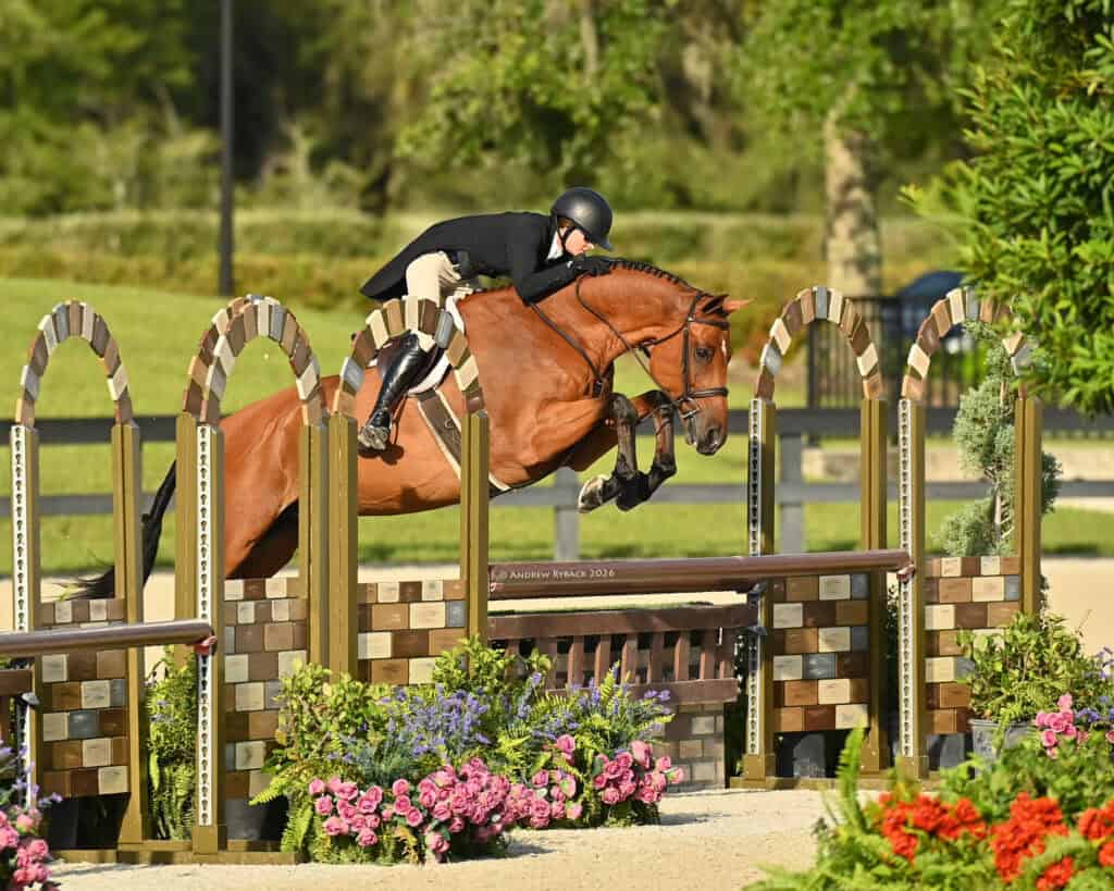 A rider in equestrian attire guides a brown horse over a jump in an outdoor show jumping competition.