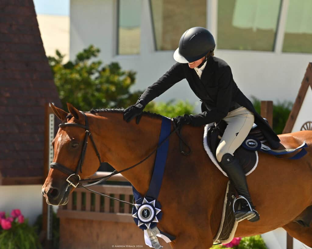 Equestrian rider in black attire pats a brown horse wearing a blue and white winner’s ribbon, outdoors near a building.