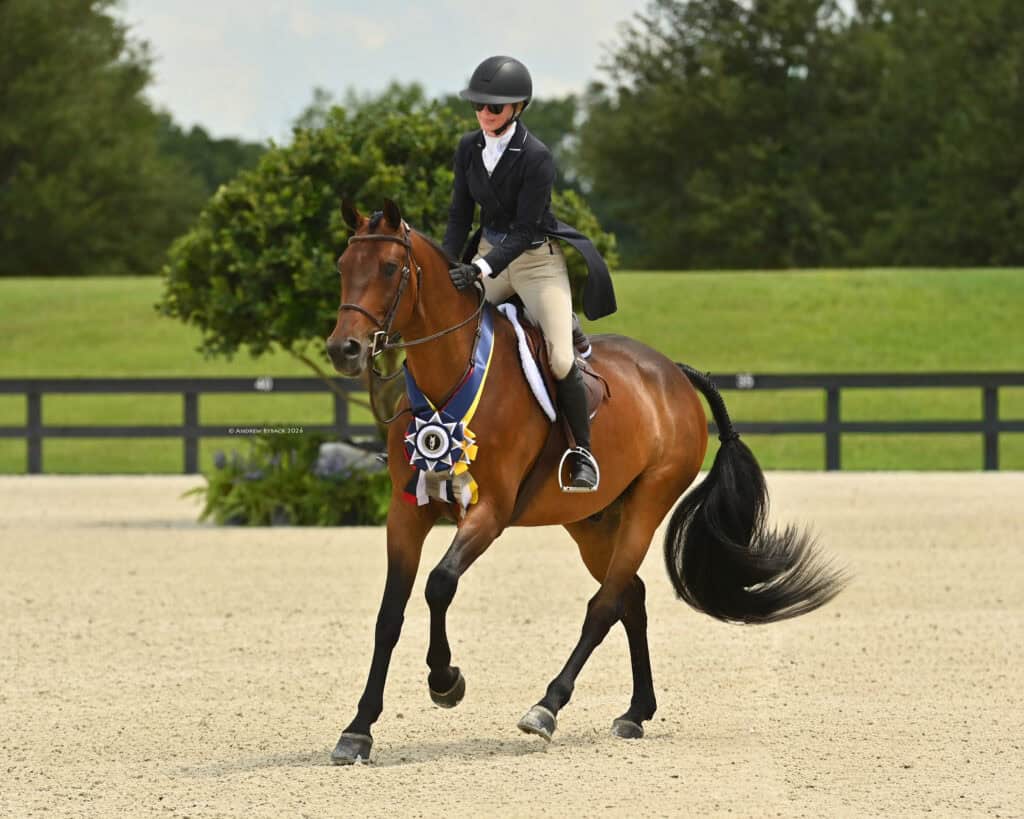 A rider in equestrian attire guides a brown horse wearing award ribbons on a sandy arena, with green grass and trees in the background.