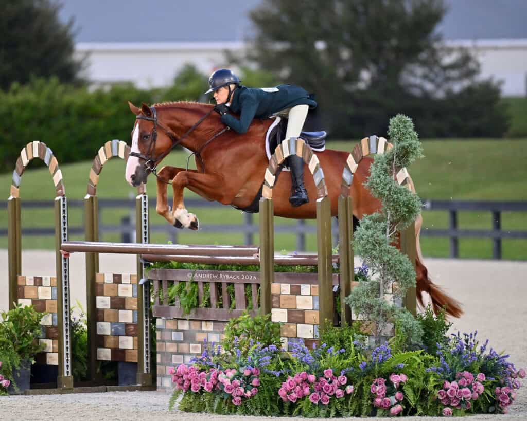 A rider in a helmet and jacket guides a brown horse over a decorative jump during an outdoor equestrian competition.