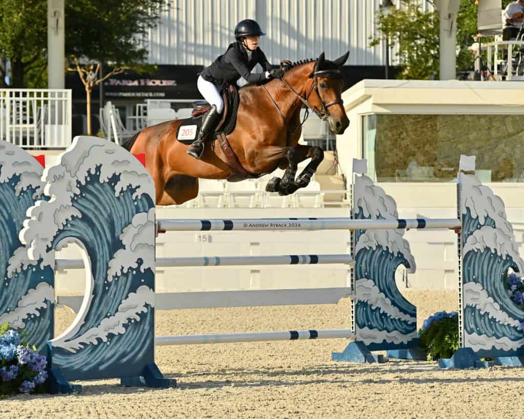 A rider in equestrian attire jumps a brown horse over an obstacle decorated with wave designs during a show jumping competition.