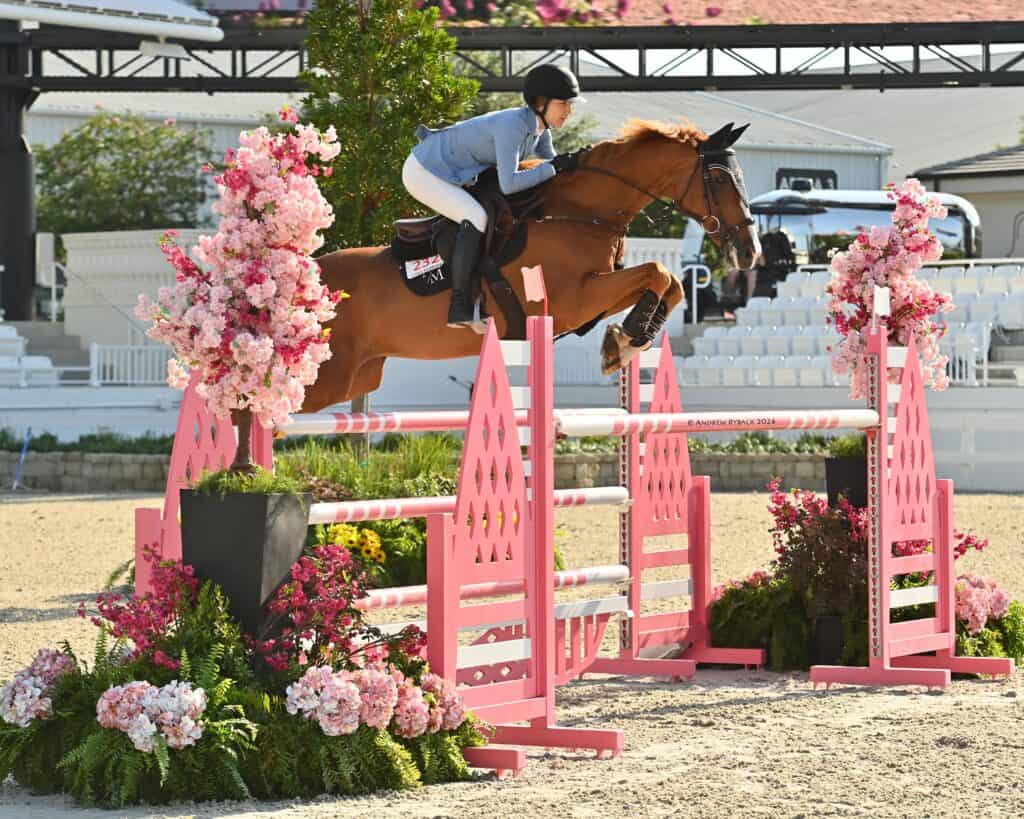 A rider in a blue jacket and helmet guides a brown horse over a pink and white show jumping obstacle decorated with flowers.