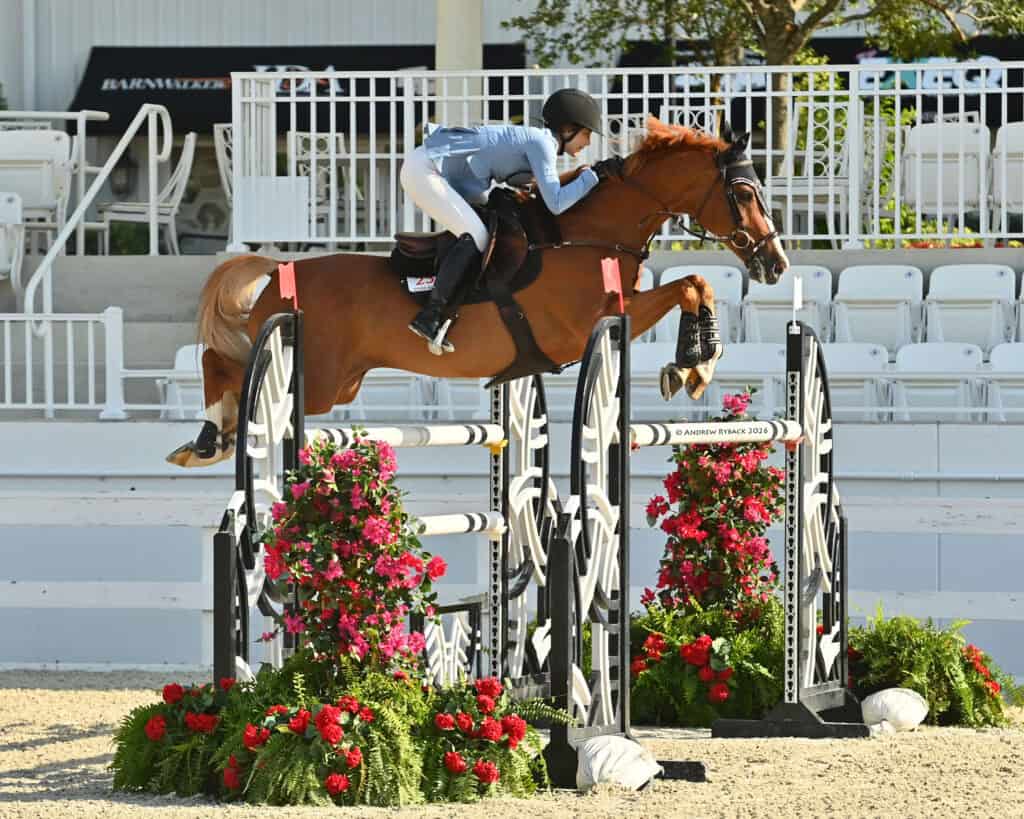 Equestrian rider in a light blue outfit and helmet jumps a brown horse over a black and white hurdle decorated with red flowers in an outdoor arena.