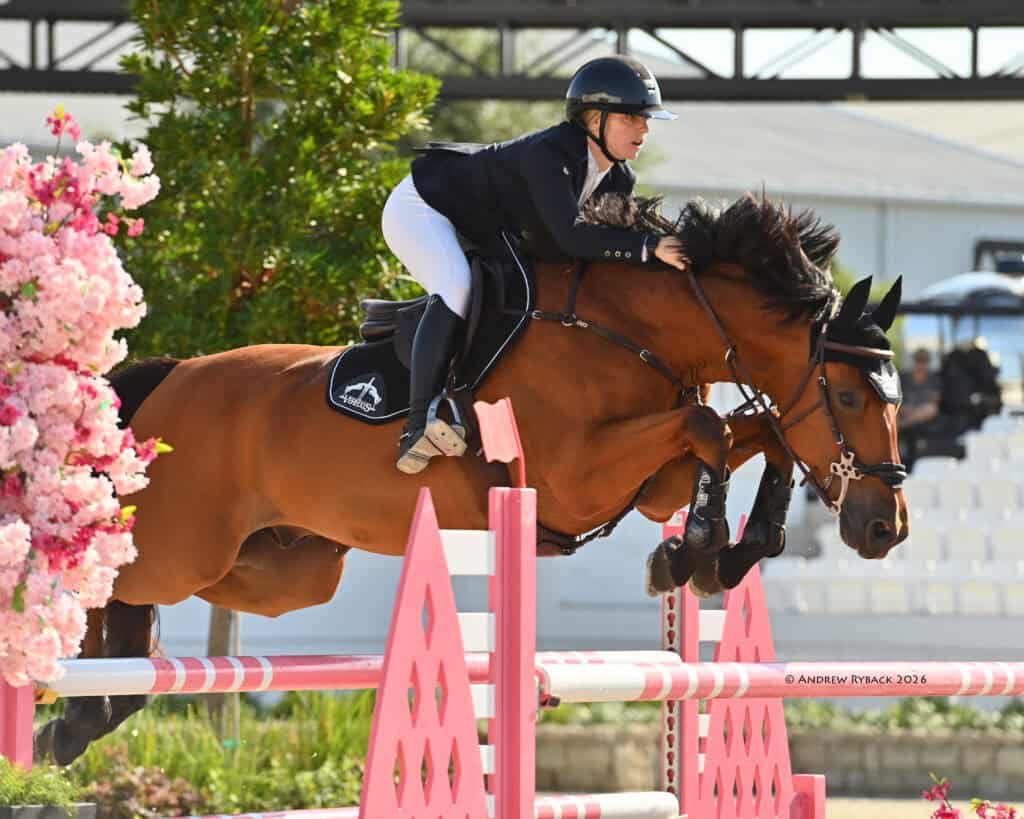Equestrian rider in formal attire and helmet jumps a brown horse over a pink and white obstacle during a show jumping competition.