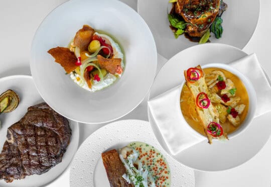Five white plates with various gourmet dishes, including grilled steak, soup with pastry, fish in sauce, lamb shank with greens, and a salad with crispy elements, arranged on a white table.