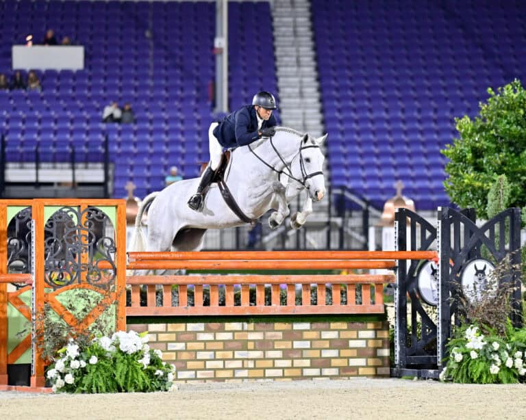 Equestrian rider in a navy jacket and helmet jumps a white horse over a fence in an arena with empty purple seats in the background.