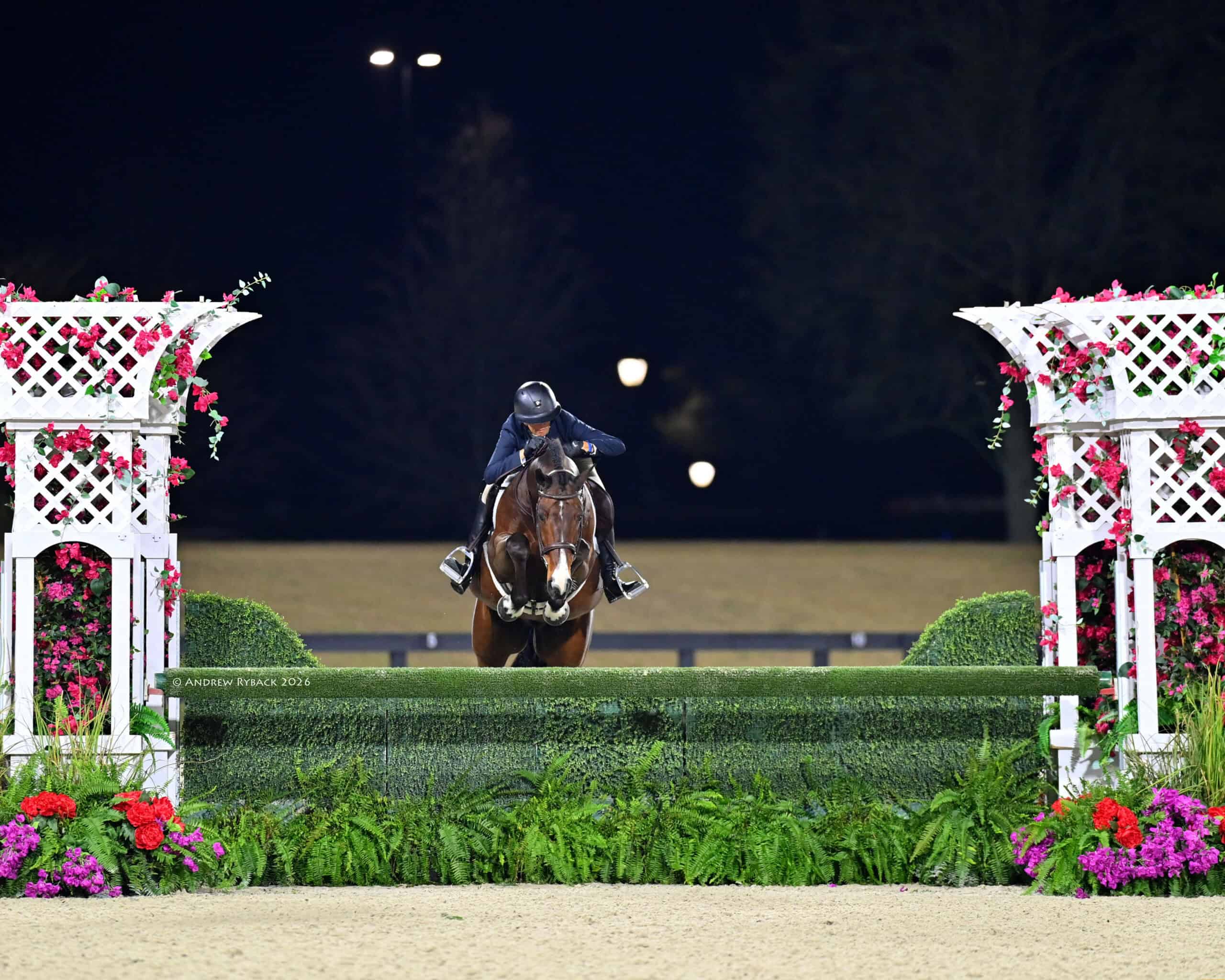 A horse and rider jump over a green hedge fence decorated with white lattice panels and pink flowers during an equestrian event at night.