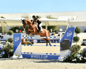 Equestrian rider on a brown horse jumps over a blue and white obstacle labeled “Wheels Up” during a show jumping competition.