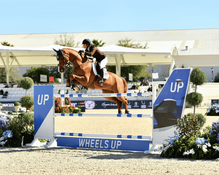 Equestrian rider on a brown horse jumps over a blue and white obstacle labeled “Wheels Up” during a show jumping competition.
