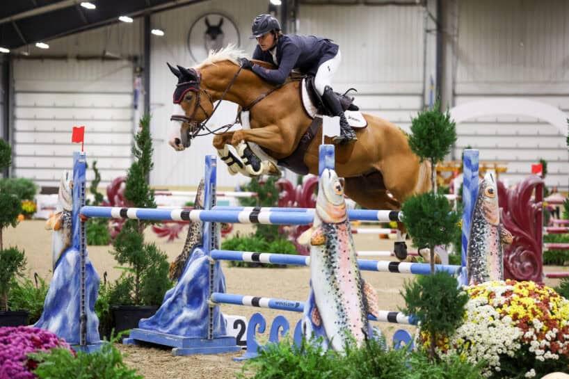 A rider on a brown horse jumps over an obstacle decorated with fish designs during an indoor equestrian event.