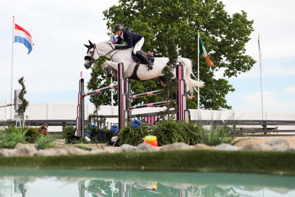 A rider and white horse jump over an obstacle during an equestrian event, with flags and greenery in the background.