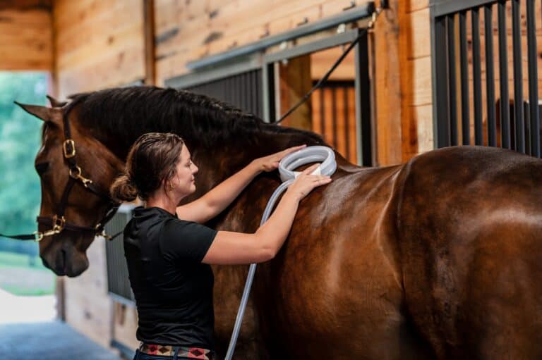 A woman uses a circular device on a brown horse's back inside a stable with wooden walls and metal bars.
