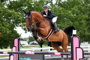 A rider wearing a helmet and jacket guides a brown horse over a pink and black jump during an outdoor equestrian event.