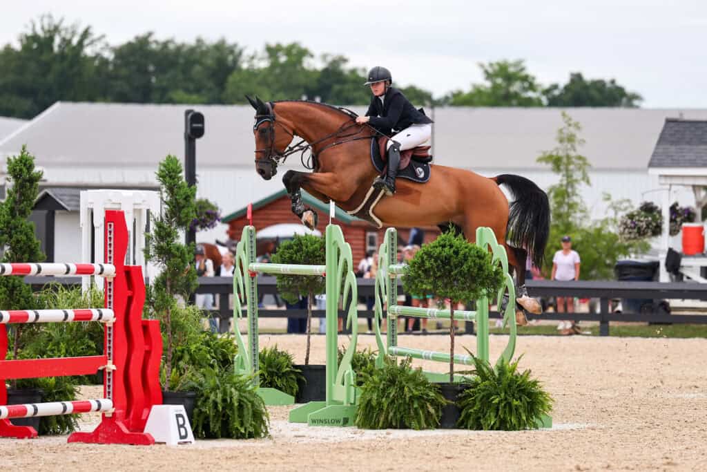 A rider in equestrian attire jumps a brown horse over a green obstacle during a show jumping competition outdoors.