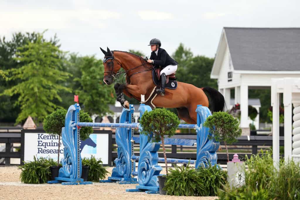 A rider in equestrian attire jumps a brown horse over a blue obstacle at an outdoor show jumping event.