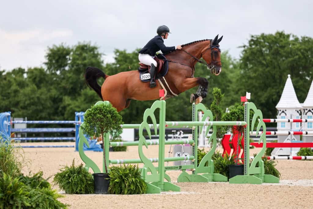A rider in equestrian gear jumps a brown horse over a green obstacle during a show jumping competition on an outdoor sand arena.