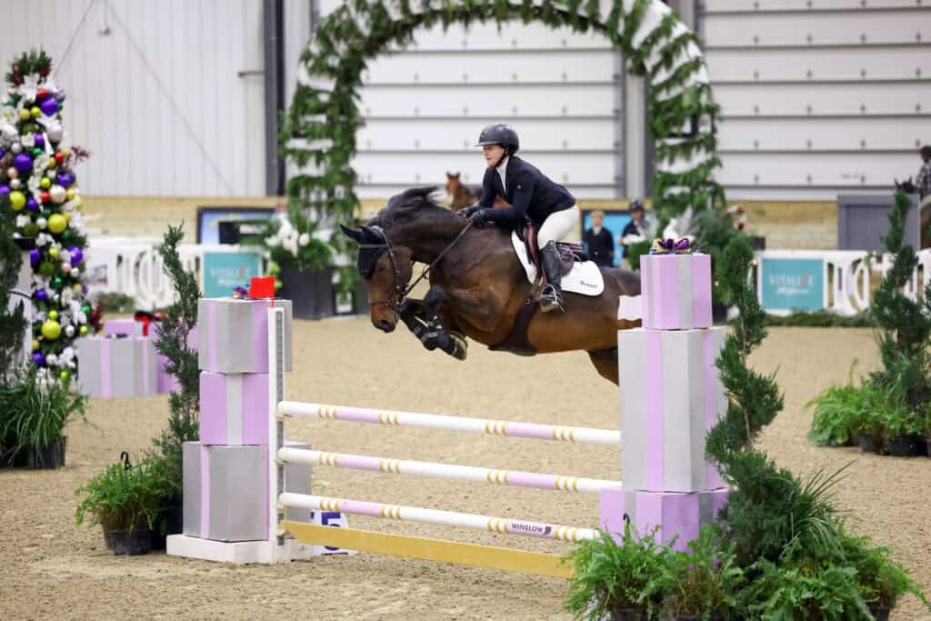 A rider in equestrian attire guides a horse over a jump during an indoor show jumping competition, with plants and decorations in the background.