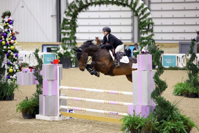 A rider in equestrian attire guides a horse over a jump during an indoor show jumping competition, with plants and decorations in the background.