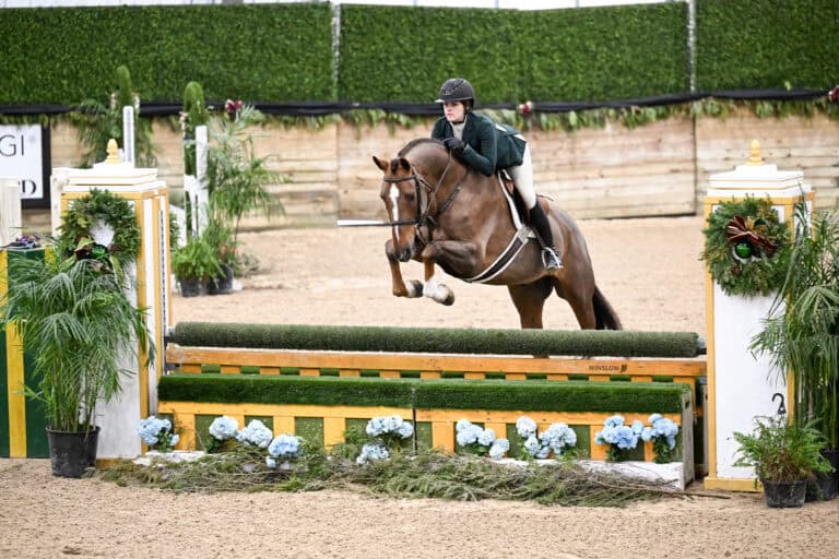 A rider on a brown horse jumps over a decorated hurdle in an outdoor equestrian arena.